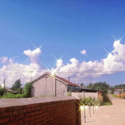 世界2手游官方下载